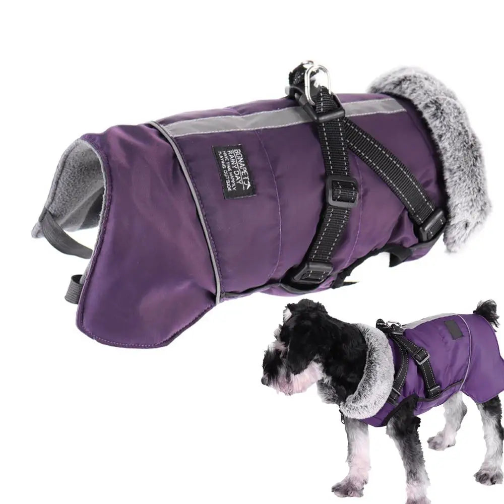 Triple-layer coat with integrated harness and warm collar