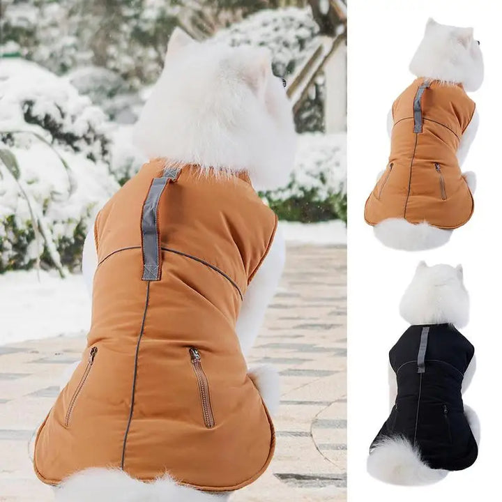 Elegant 4-legged turtleneck coat for small dogs