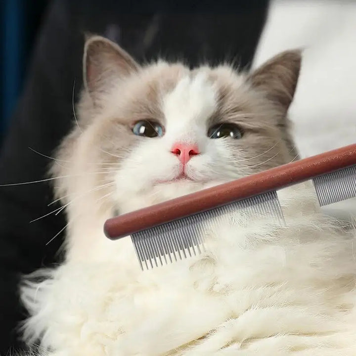 Wooden flea comb for dogs and cats for soothing care