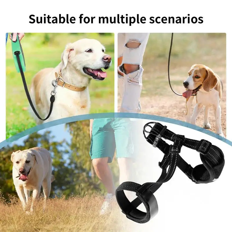 Reflective dog muzzle: nighttime safety &amp; absolute comfort