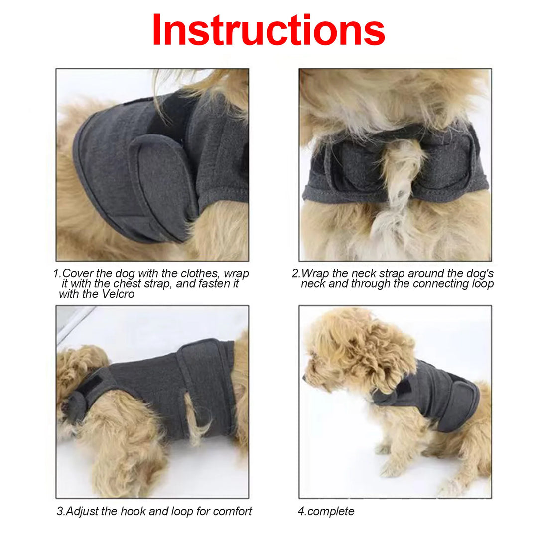 A continuous hug for anxious or stressed dogs
