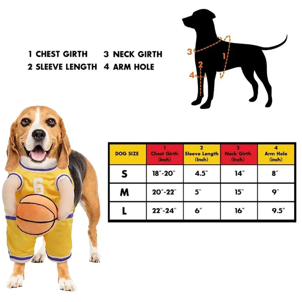 Basketball Player Costume for Dogs: Turn Your Dog into a Living Room Star