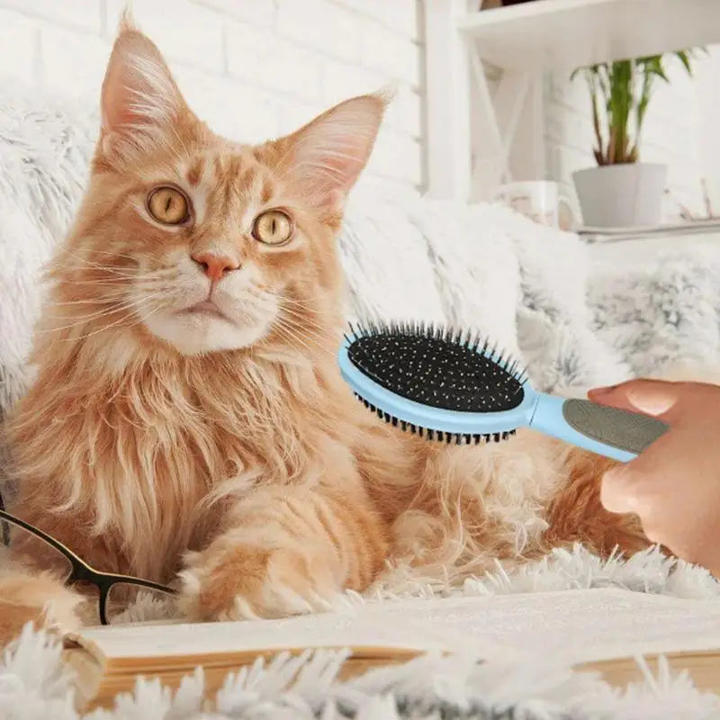Dog and cat grooming brush: softness, complicity and no tangles