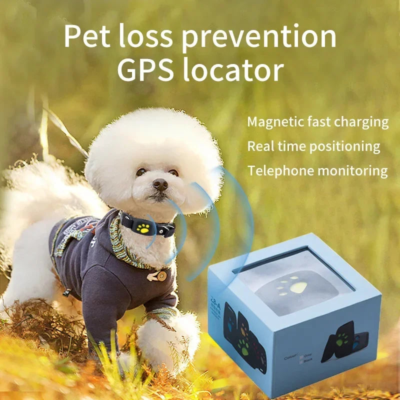 GPS Collar for Dogs &amp; Cats – Never Lose Sight of Them Again
