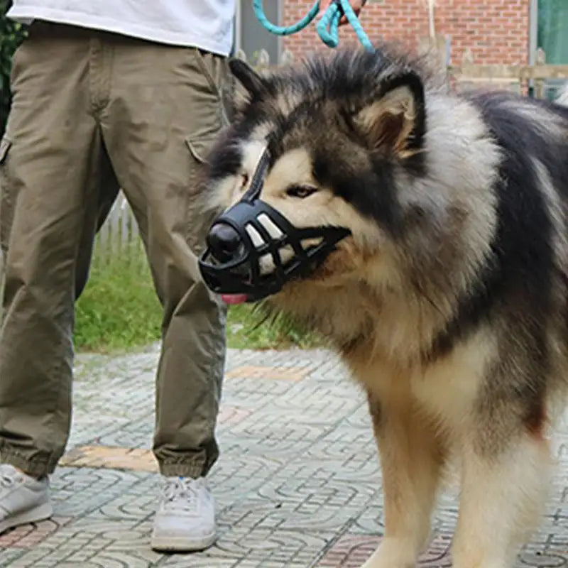 Soft muzzle for sensitive dogs loved and protected