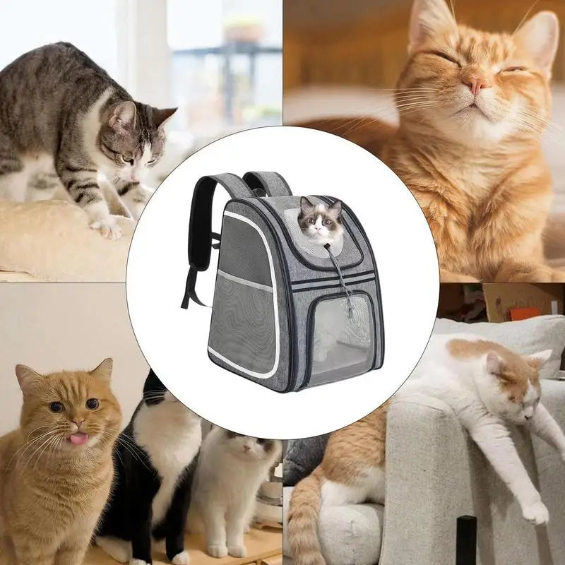 Cat &amp; small dog backpack: comfortable, foldable and always ready to go