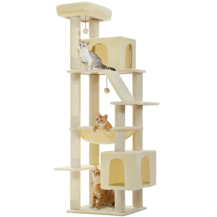 A majestic territory for powerful big cats