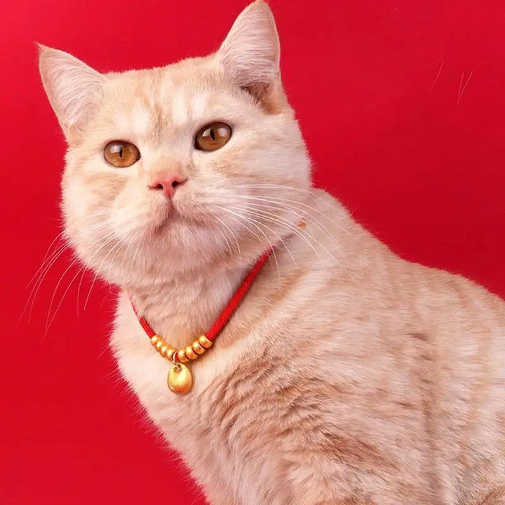 New Year's necklace for dogs and cats: gold ingot, unique keepsake, message of love