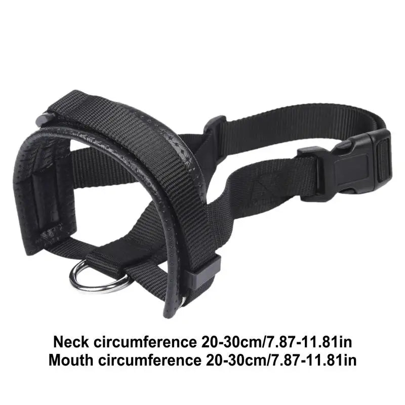 Basket muzzle for dogs: frame it with calm, protect it with love