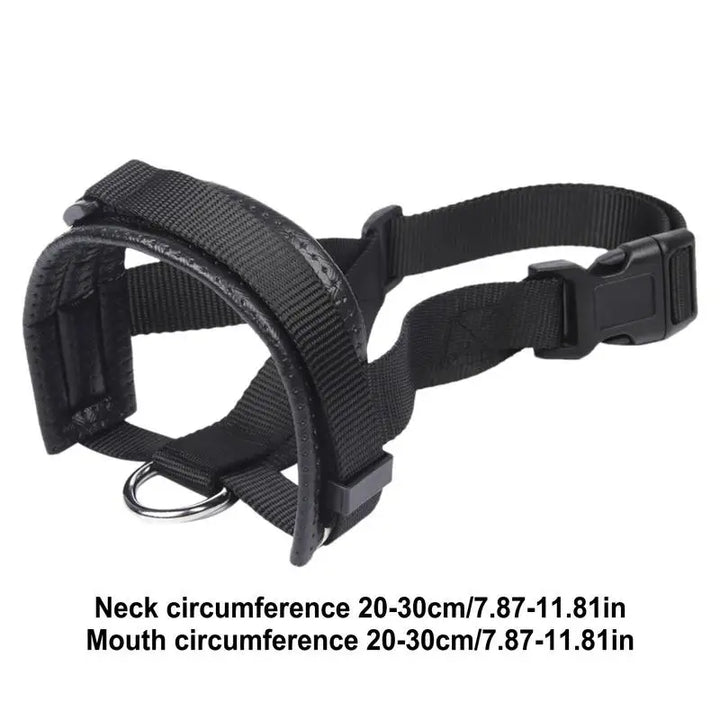 Basket muzzle for dogs: frame it with calm, protect it with love