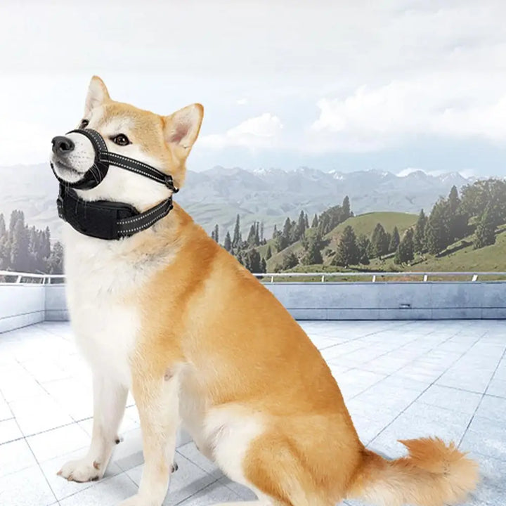 Reflective dog muzzle: nighttime safety &amp; absolute comfort