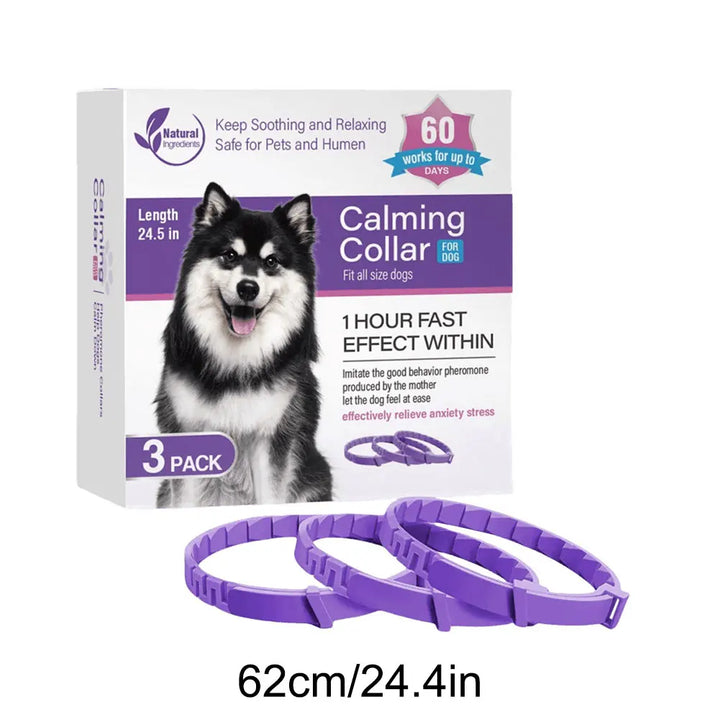 Calming collar for dogs and cats: calm returns without a word