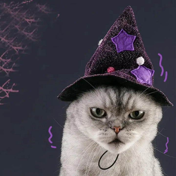 Dog &amp; Cat Witch Costume: Light, Shiny &amp; Irresistible