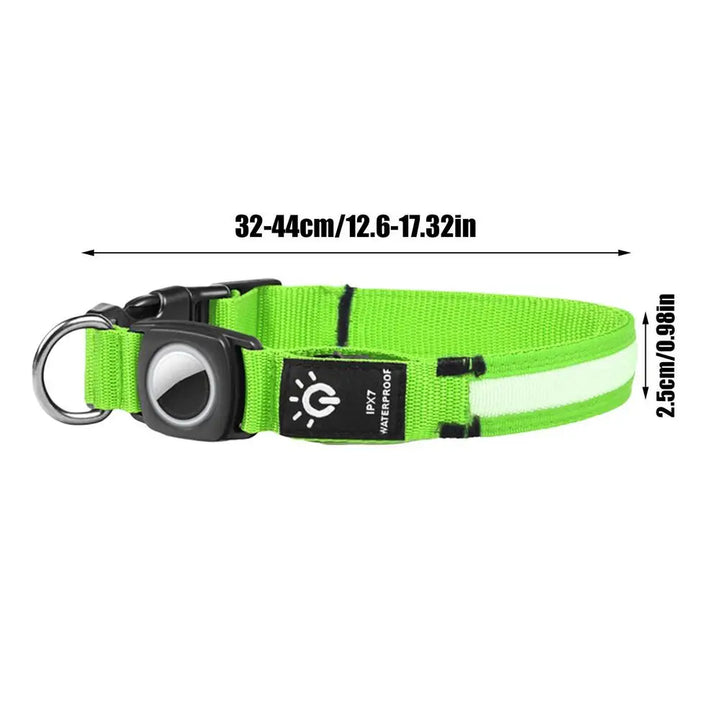 AirTag light-up dog collar: visible, locatable, reassuring day and night
