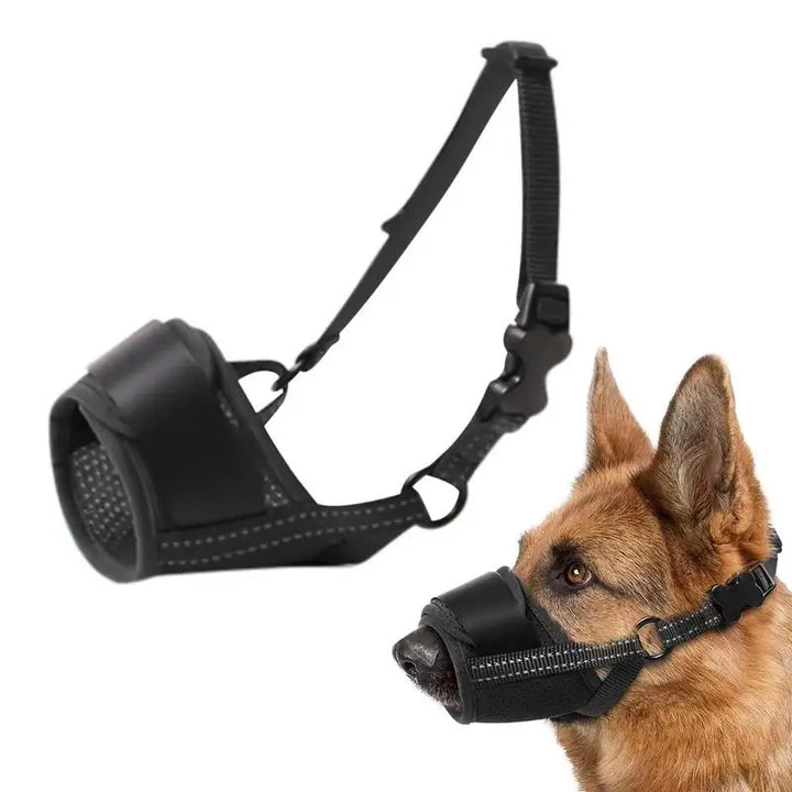 Muzzle for large dogs: protect without bullying, frame with love