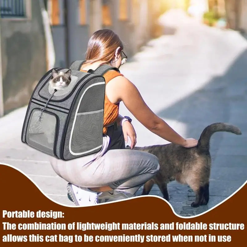 Cat &amp; small dog backpack: comfortable, foldable and always ready to go