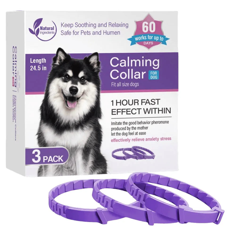 Calming collar for dogs and cats: calm returns without a word