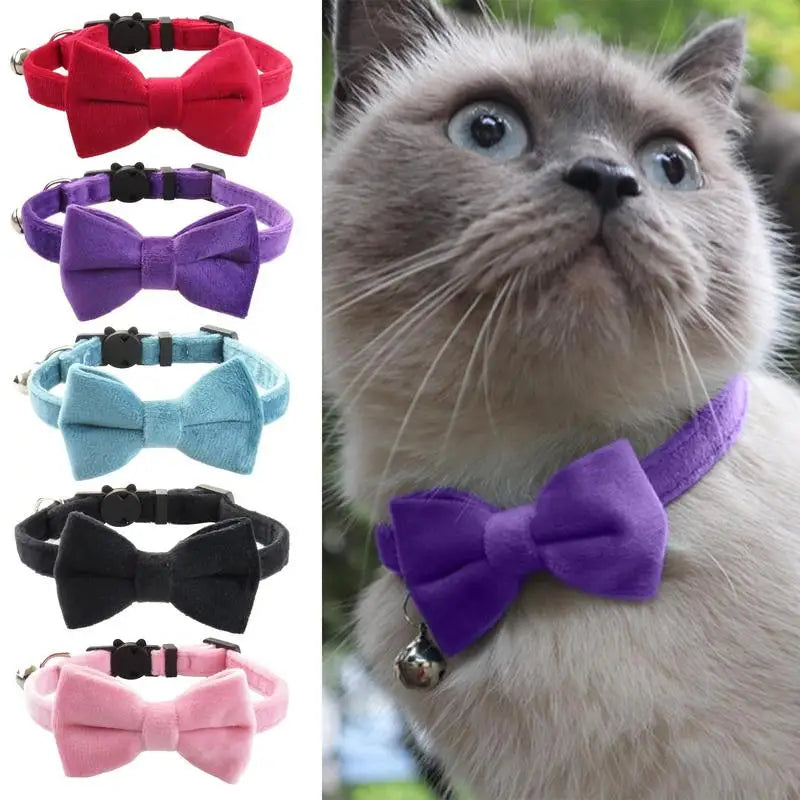 Dog &amp; Cat Bow Tie Collar: Understated Chic, Visible Love, Precious Memories