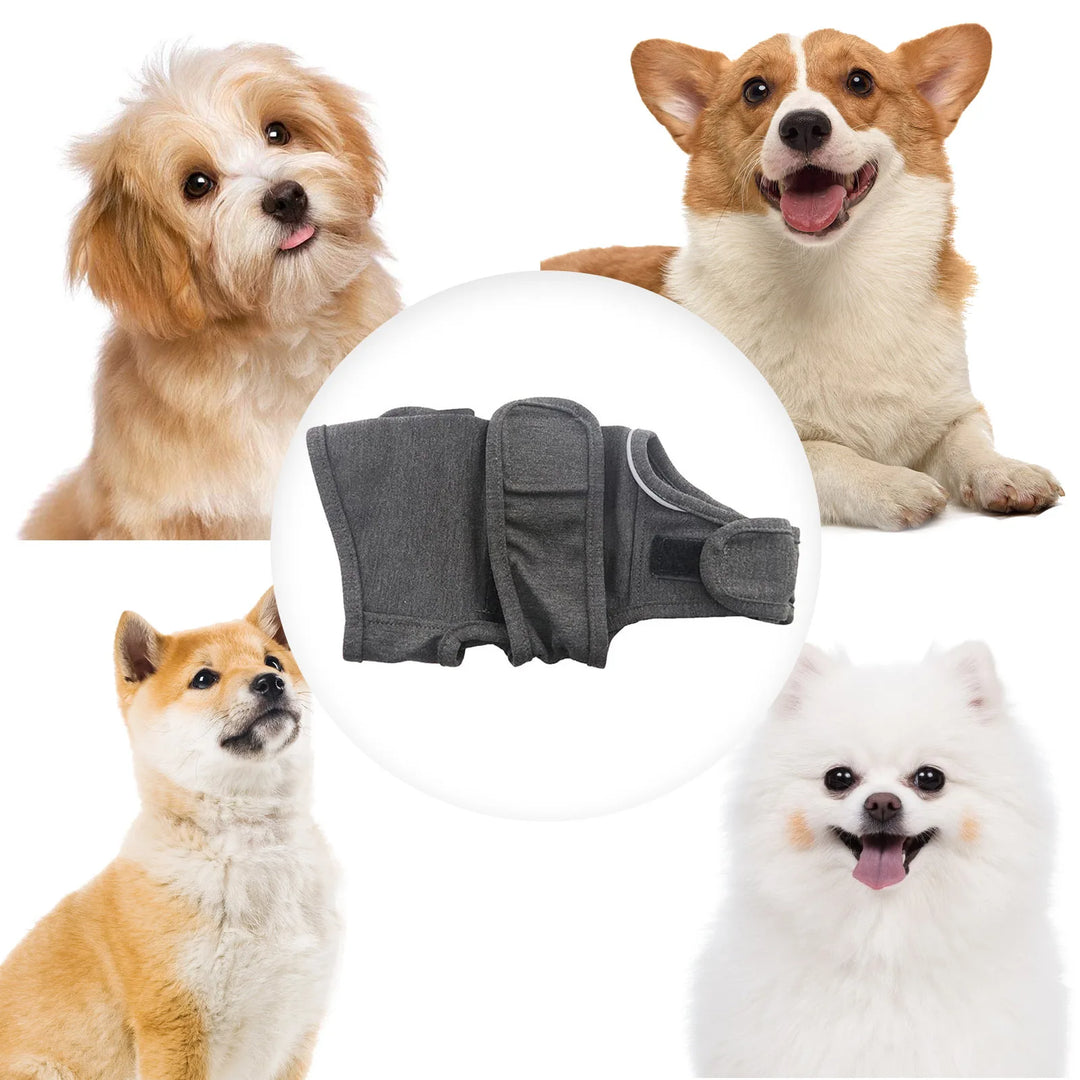 A continuous hug for anxious or stressed dogs