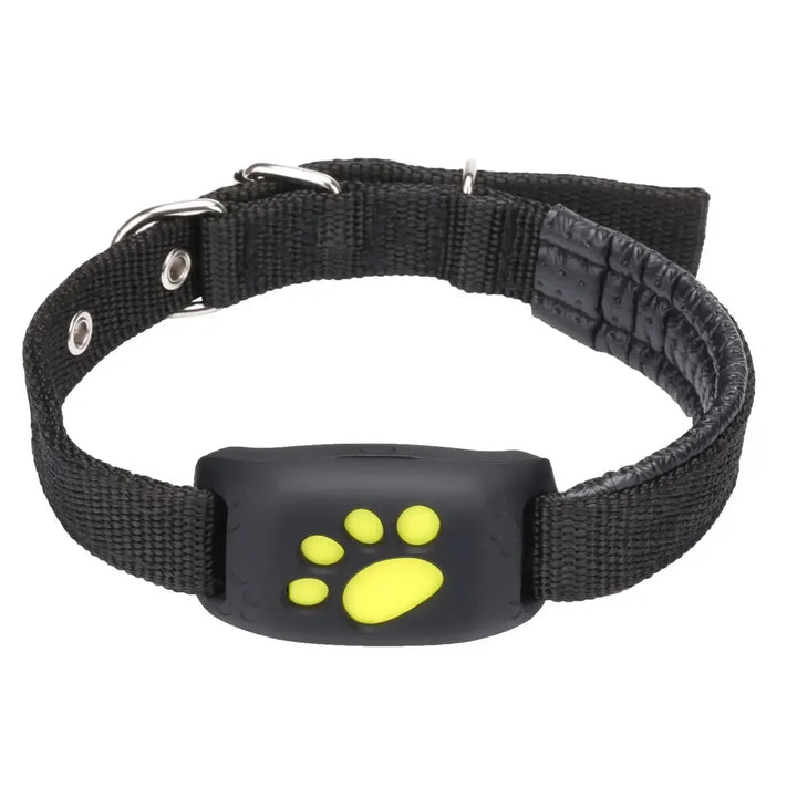GPS Collar for Dogs &amp; Cats – Never Lose Sight of Them Again
