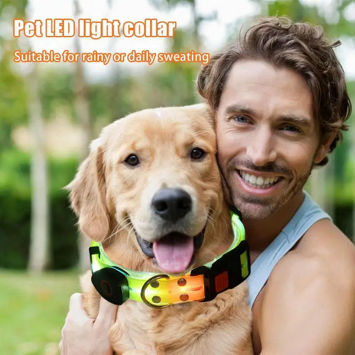 Light-up dog collar: safe night walks