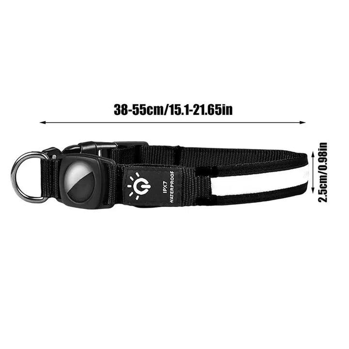 AirTag light-up dog collar: visible, locatable, reassuring day and night