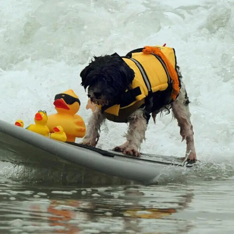Dog life jacket that protects without hindering