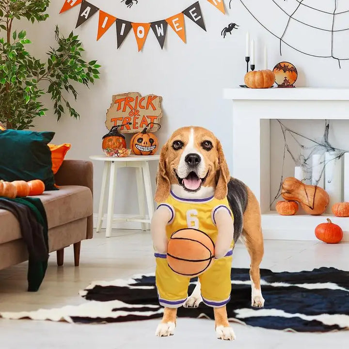 Basketball Player Costume for Dogs: Turn Your Dog into a Living Room Star