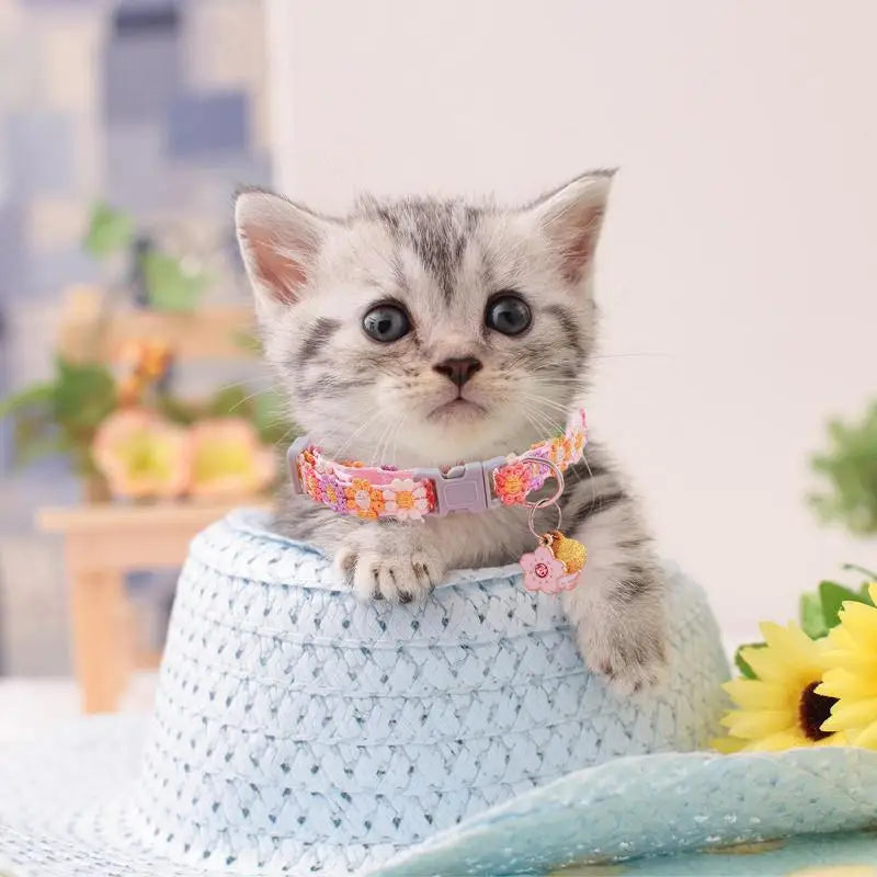 Cute Kitten Necklace – For Little Four-Legged Hearts