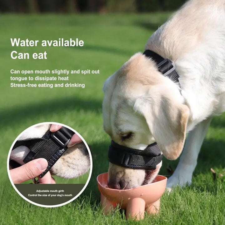 Basket muzzle for dogs: frame it with calm, protect it with love