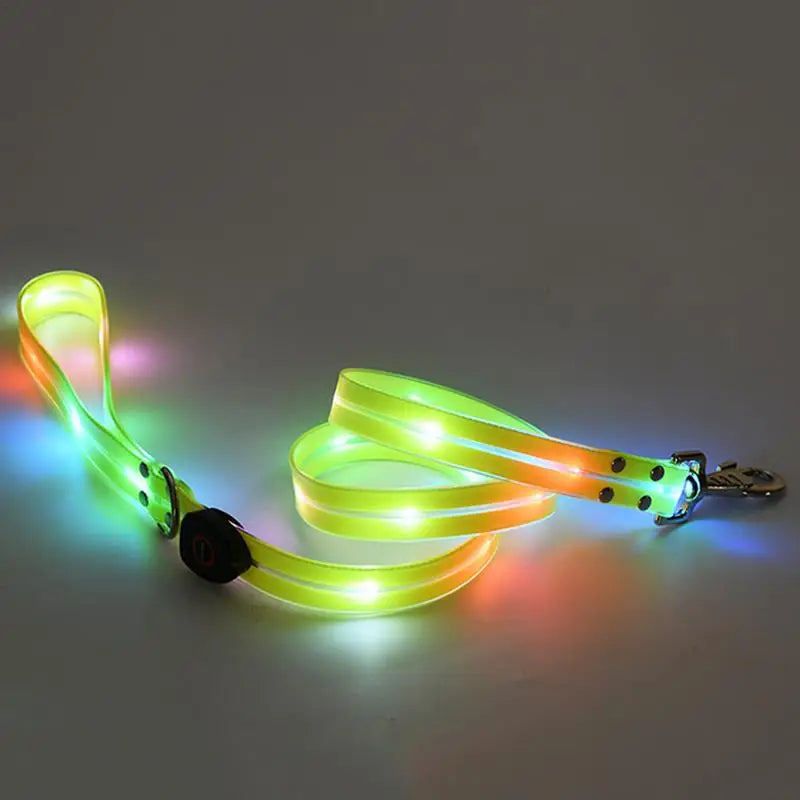 Light-up dog collar: safe night walks