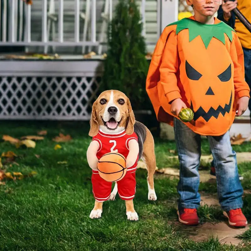 Basketball Player Costume for Dogs: Turn Your Dog into a Living Room Star
