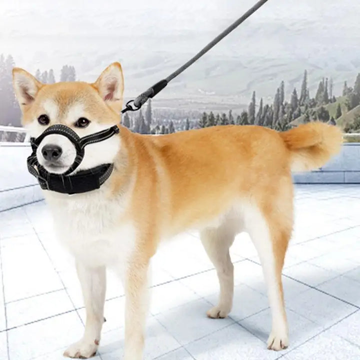 Reflective dog muzzle: nighttime safety &amp; absolute comfort