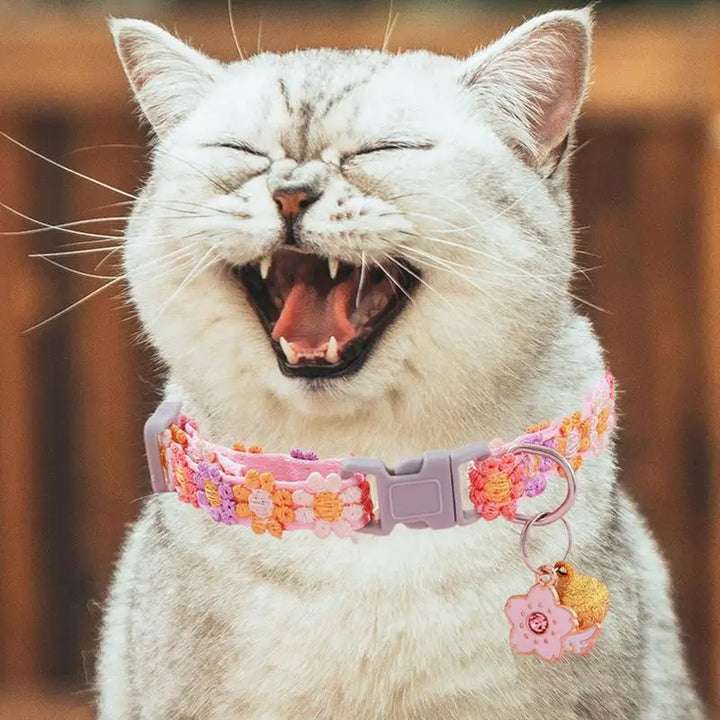 Cute Kitten Necklace – For Little Four-Legged Hearts
