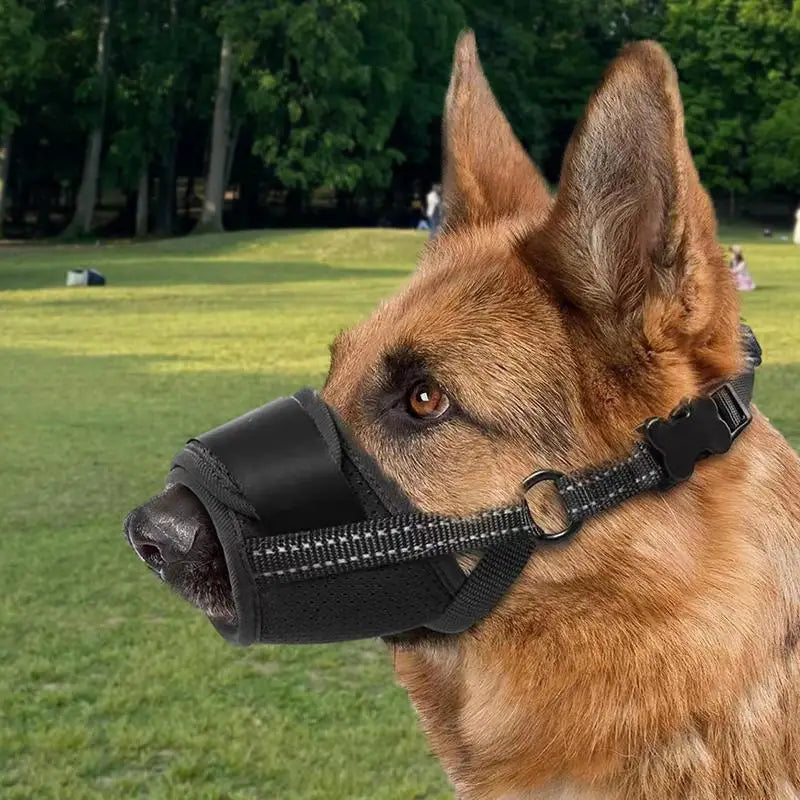 Muzzle for large dogs: protect without bullying, frame with love