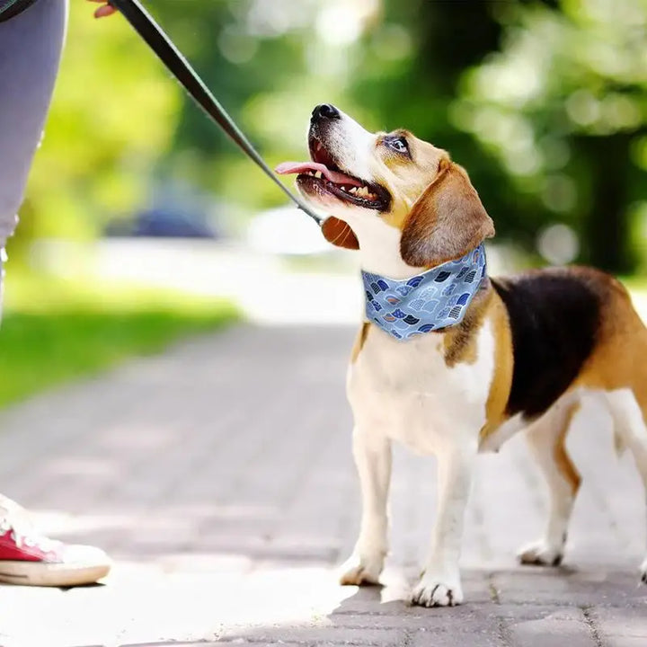 Cooling Bandana for Dogs and Cats - Gentle Coolness Immediate Relief