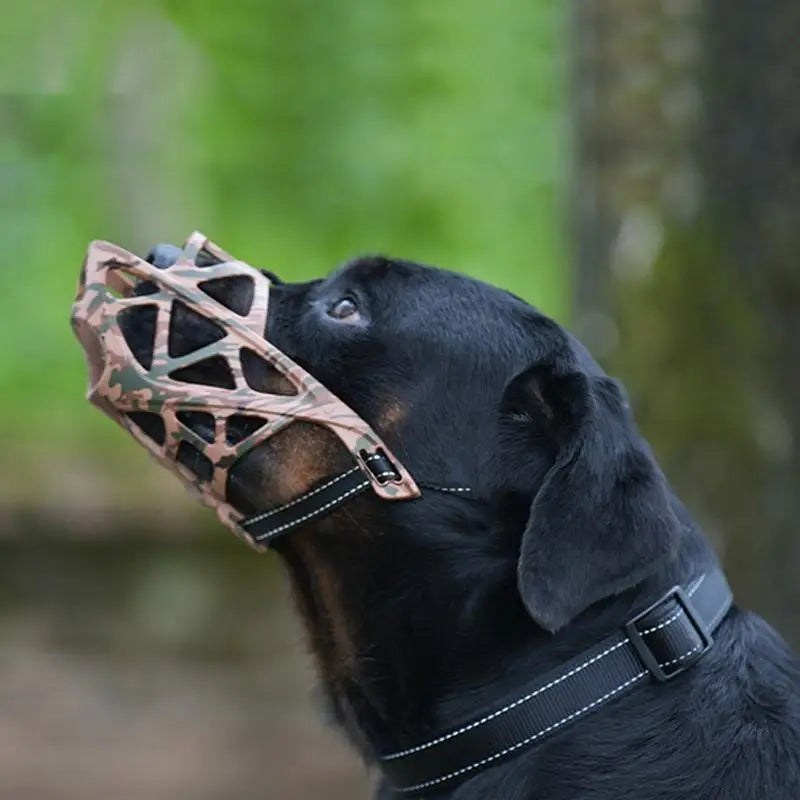 Openwork muzzle for large dogs, comfort and control