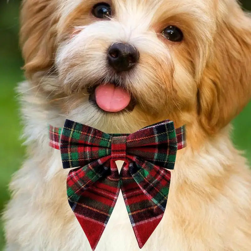 Bow Tie Dog Collar – Everyday Chic Elegance