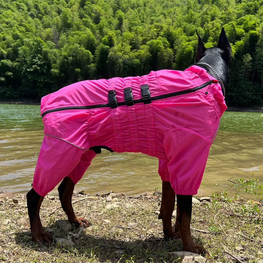 4-Paw Raincoat for Dogs – Comfort, Style &amp; Protection