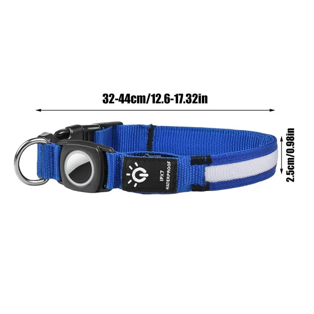 AirTag light-up dog collar: visible, locatable, reassuring day and night