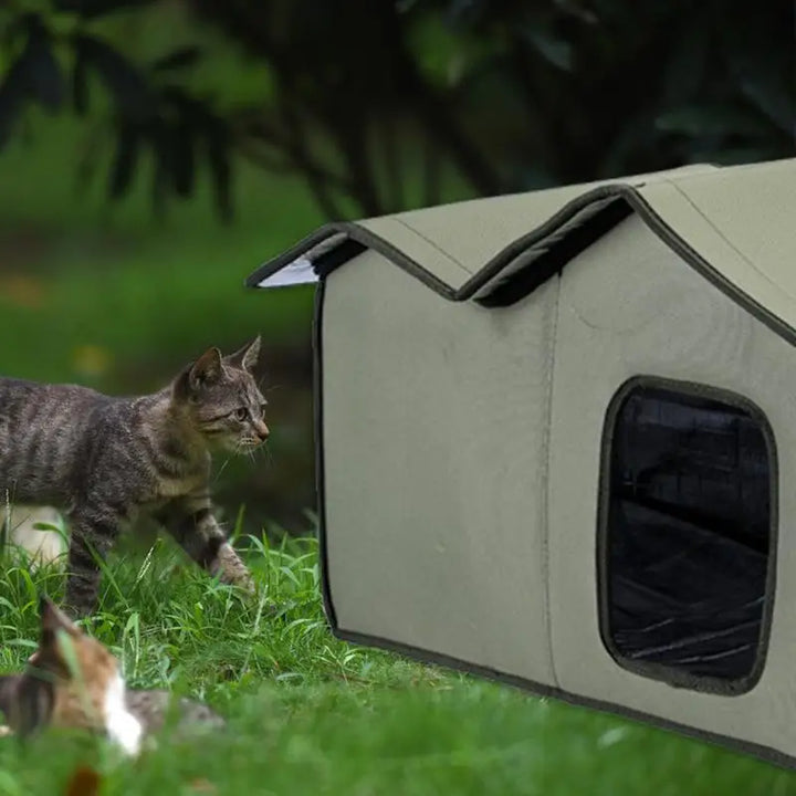 Waterproof Outdoor Cat Shelter: A True Love Refuge