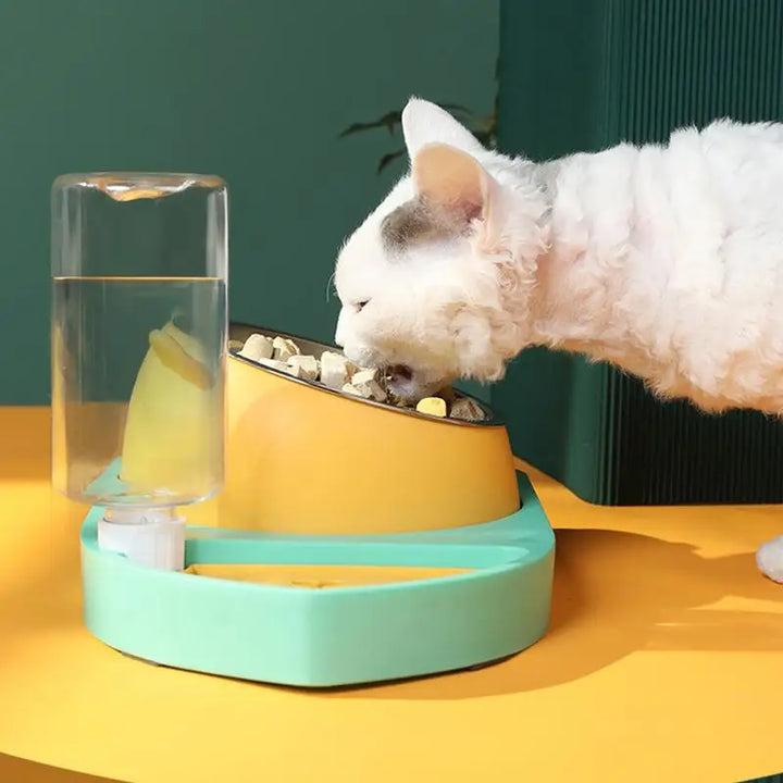 3-in-1 Cat Bowl – Hydrated, Well-Fed, Safe