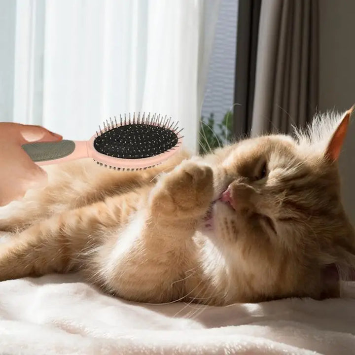 Dog and cat grooming brush: softness, complicity and no tangles