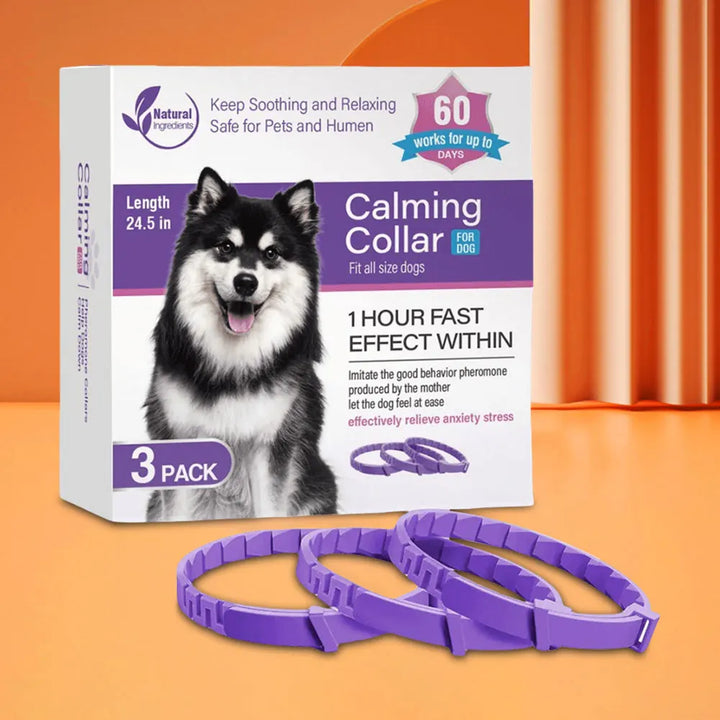 Calming collar for dogs and cats: calm returns without a word