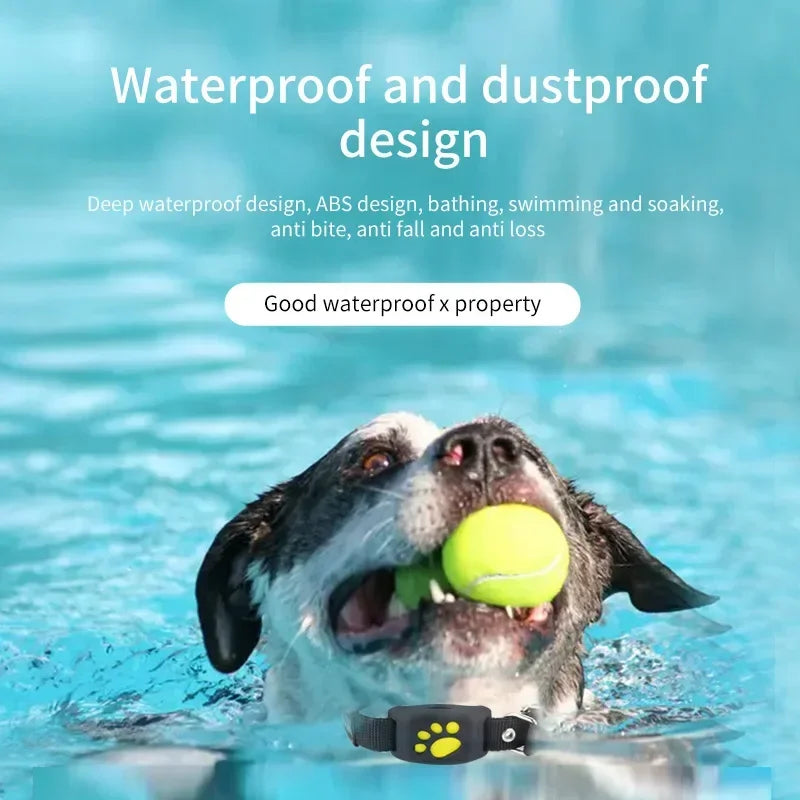 GPS Collar for Dogs &amp; Cats – Never Lose Sight of Them Again