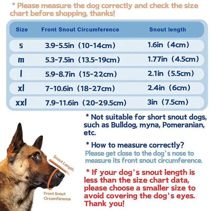 Muzzle for large dogs: protect without bullying, frame with love