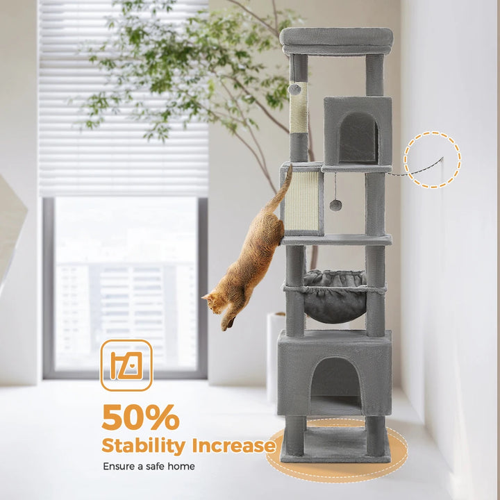 A majestic territory for powerful big cats