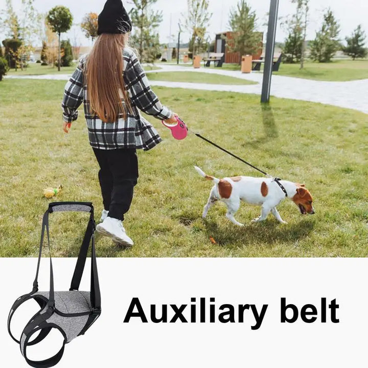 Back harness for older dogs, gentle and respectful support