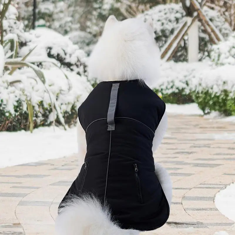 Elegant 4-legged turtleneck coat for small dogs