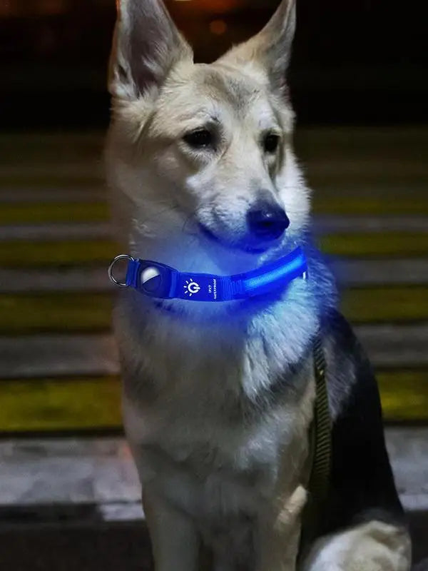 AirTag light-up dog collar: visible, locatable, reassuring day and night